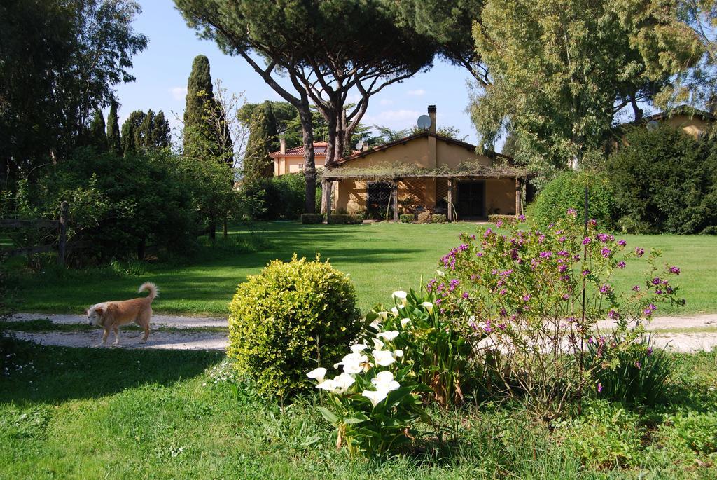 Casa Vacanze Vigna Di Valle Брачано Стая снимка