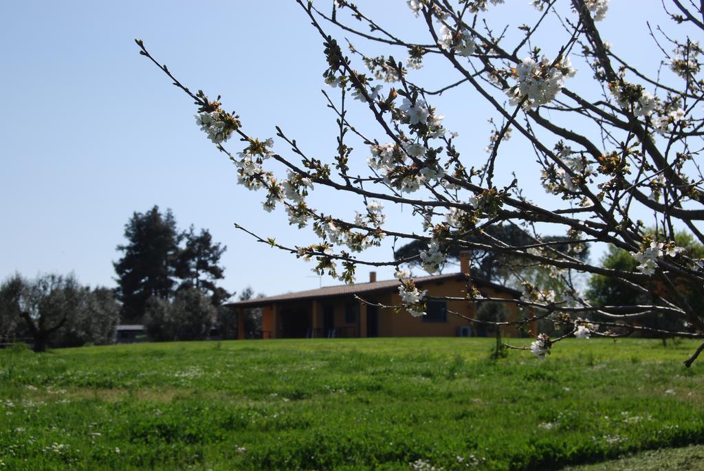 Casa Vacanze Vigna Di Valle Брачано Стая снимка