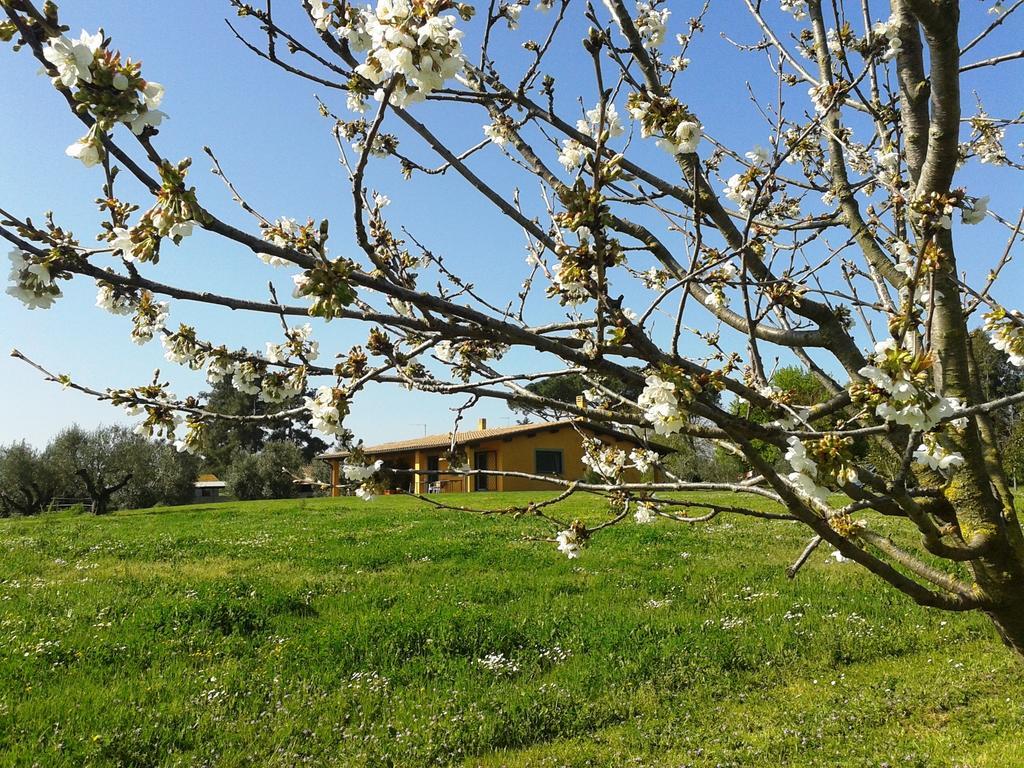 Casa Vacanze Vigna Di Valle Брачано Екстериор снимка