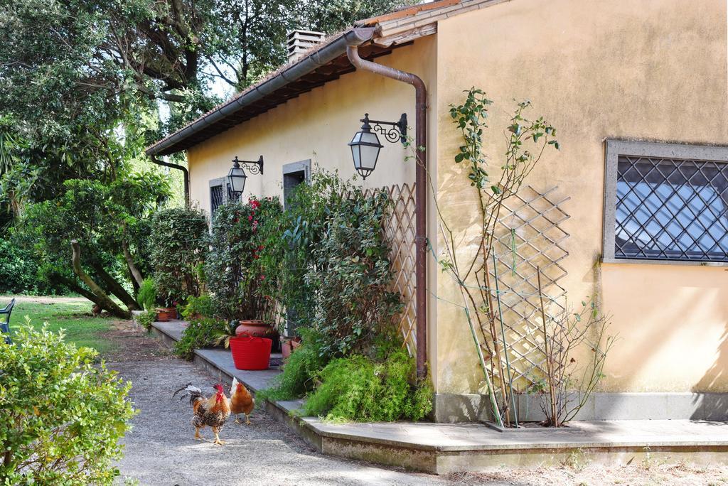 Casa Vacanze Vigna Di Valle Брачано Стая снимка